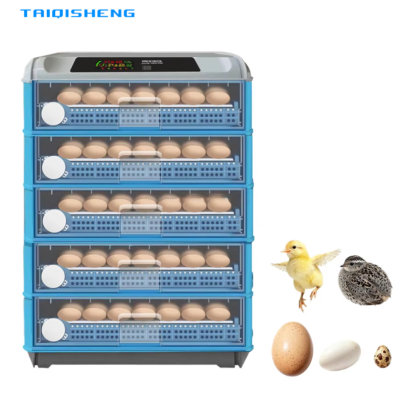 Power Supply 12V - Automatic Intelligent 500 Egg Incubator Dual